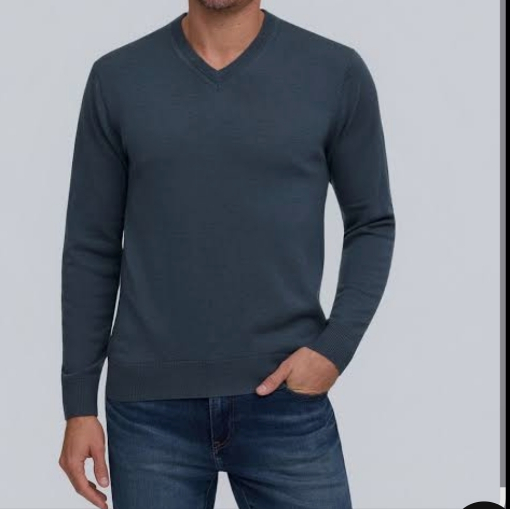 Nwot Raffi Cashmere V-Neck Sweater